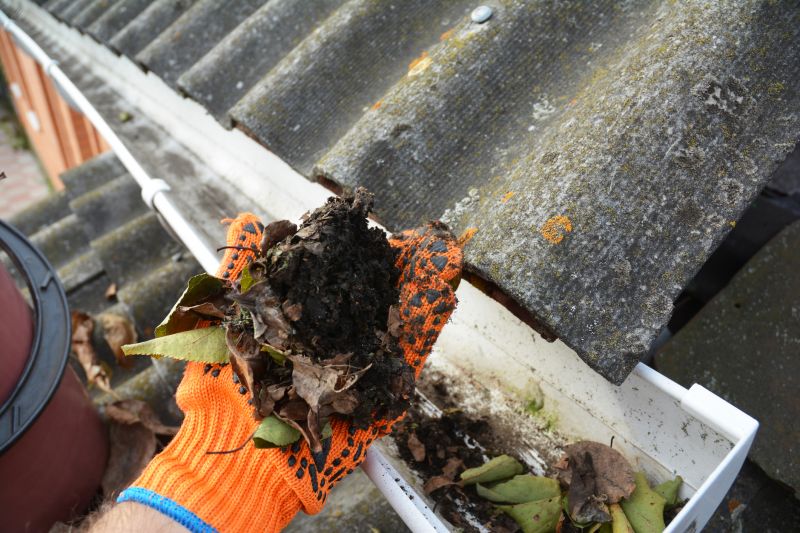 Gutter System Before Cleaning